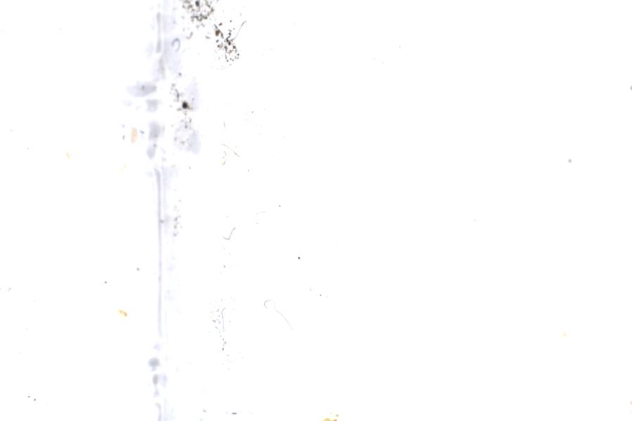 Image 68
